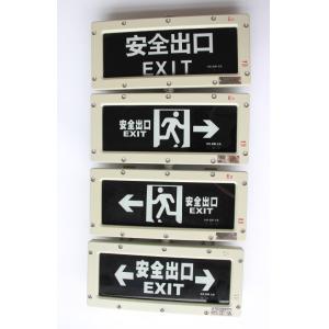 Ra≥70 5000K IP66 Explosion Proof Emergency Lamp Embedded Safety Exit Indicator