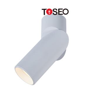 Cheap Gu10 Adjustable Aluminium Ceiling Downlight Cylinder Surface Mounted For Hotel for sale