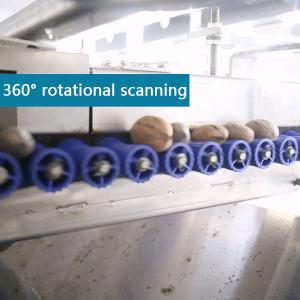 380V 8 Exits Pecan Nuts Sorting Machine CE Approved 2 Tons Capacity