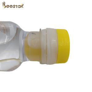 Press-Out Lemon Honey Water Bottle with Fresh Lemon Layer