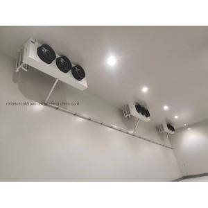 Customization Walk-in Cooler Refrigeration Cold Storage Freezer with Freon