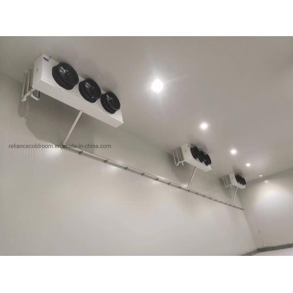 Customization Walk-in Cooler Refrigeration Cold Storage Freezer with Freon