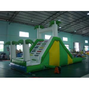 Funny Inflatable Water Slide , Inflatable Amusement Park For Entermainment