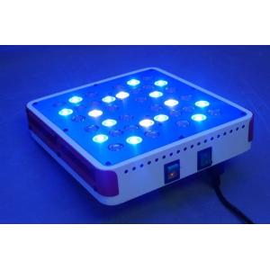 Cheap Best hot in 2015 40x5w led grow lights with 2 swiches for veg and flowering for sale
