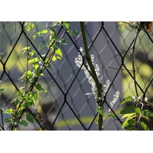 China 40mm*40mm Hole Size SS316 Stainless Steel Rope Mesh Green Wall For Plant on sale