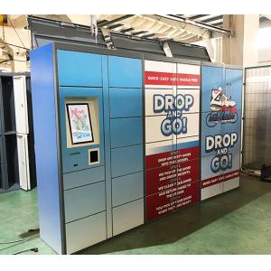 Smart 24 Hours Laundry Shoe Washing Lockers With Customization Software