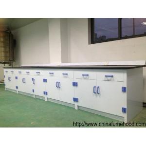 Direct Manufacturer Laboratory Bench With PP Material