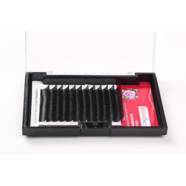Individual 3D Eyelash Extensions Camellia Eyelash Extension Multi Lengths In One Row