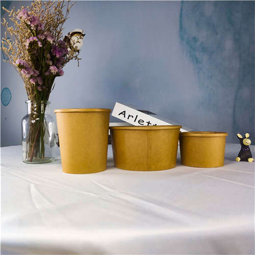 Disposable CMYK Package Paper Box Take Away Fast Food Packaging Box