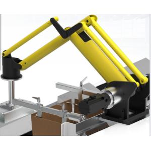 Palletizer Robot Chinese Robot Arm 200KG Load Robotic Palletizer