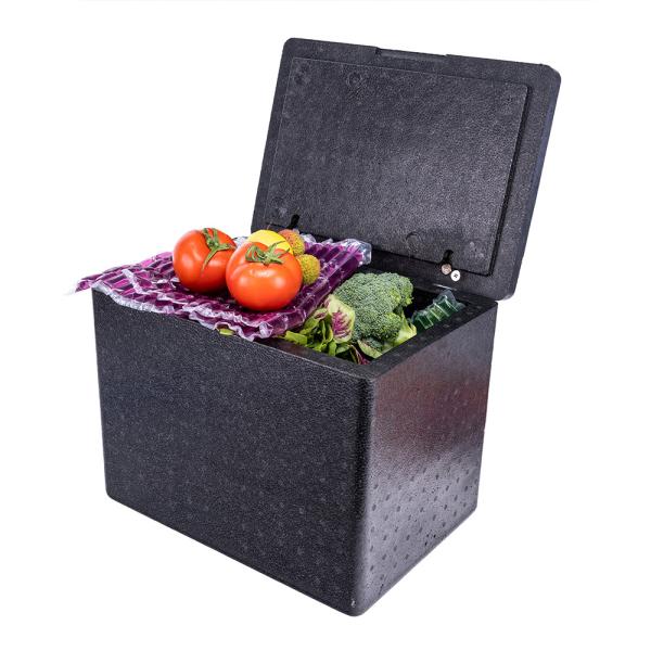 Insulated Food Container 100% Recyclable Biodegradable Lunch Cooler Box Heavy