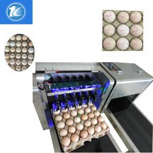 Cheap 1600x410x980mm Size Egg Jet Printer Machine With Low Maintenance Costs for sale