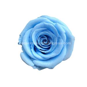 Dehydrated Eternal Long Lasting Roses In A Box Non-Toxic