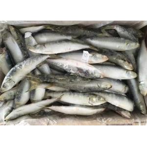 Cheap Sardinella Lemuru 100% Net Weight 90g Frozen Whole Sardines for sale