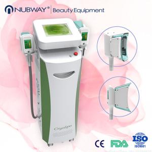 10.4 inch Color Screen Cryolipolysis Slimming Equipment For Body Slimming
