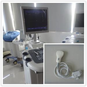 Handheld Dermatoscope Facial Skin Moisture And Oil Analyzer Wifi Scalp Analyzer