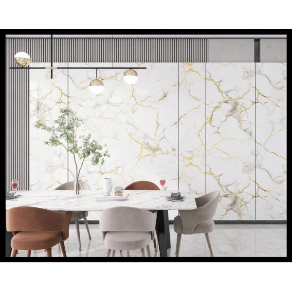 Quality Peel And Stick PET Wall Sticker Easy To Install And Clean wholesale