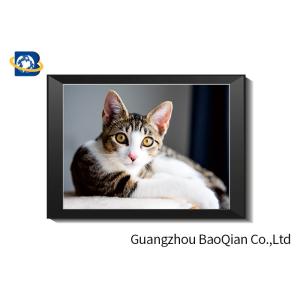 Cute Cat Lenticular Printing Picture With Frame 40 x 40 cm PET 0.65 mm