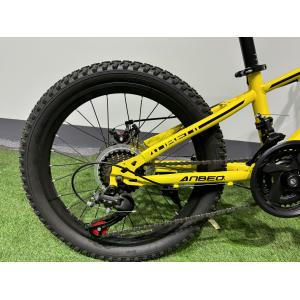 Customized MTB Mountain Bikes With 6 Speed 21 Gears / Shimano Derailleurs