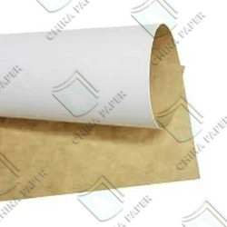 Quality White Top Linerboard/WTL with Recycled Wood Pulp for Printing and Packaging Applications wholesale