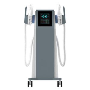 Double Head Electrotherapy Weight Loss Machines Firm Abs Weight Loss