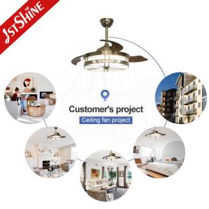 Decorative Retractable Ceiling Fan Light AC Motor Acrylic Blades