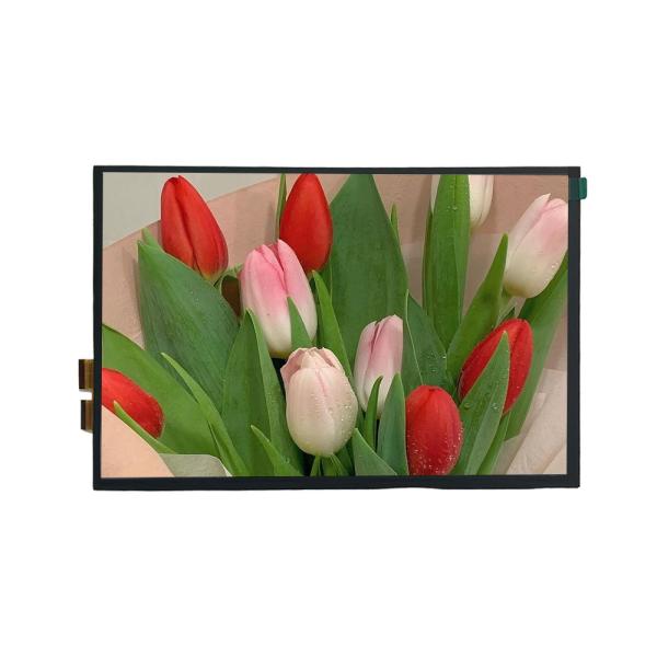 10.1 inch Landscape TFT LCD Module with 45pin LVDS Interface and High Resolution
