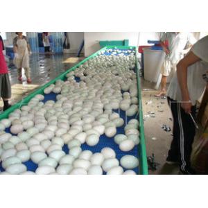 China Industrial Baking Hamburger Bread Cooling Spiral Chiller