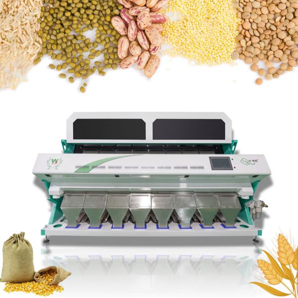 Quality Automatic Soybean Kidney Lentil Beans Color Sorter Customized wholesale