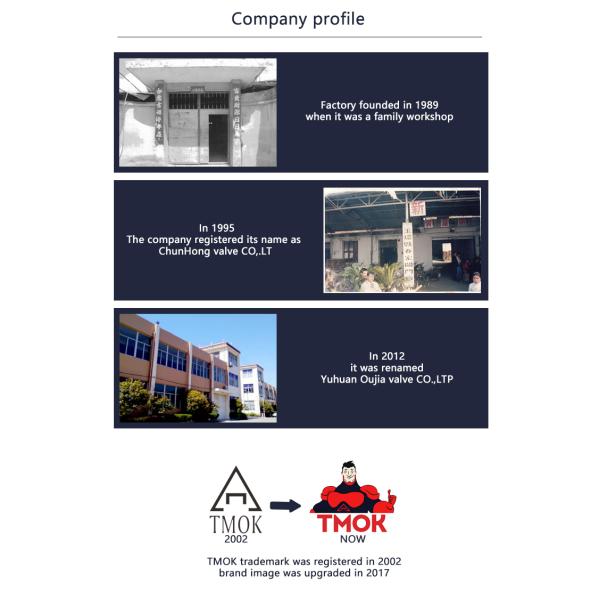 DN20 Tilting Disc Check Valve