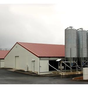 Modern Prefab Container House Luxury Custom Modular Homes 20ft 40ft