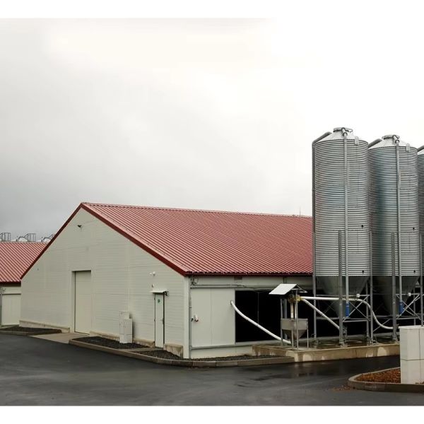 Prefabricated Container Homes 20ft 40ft Prefab Modular Steel Container Homes