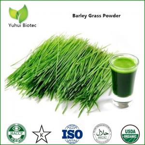 China Barley Grass Powder,organic barley grass powder,barley grass juice powder on sale