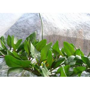 2% UV Agriculture PP Non Woven Landscape Fabric All GSM Various Color