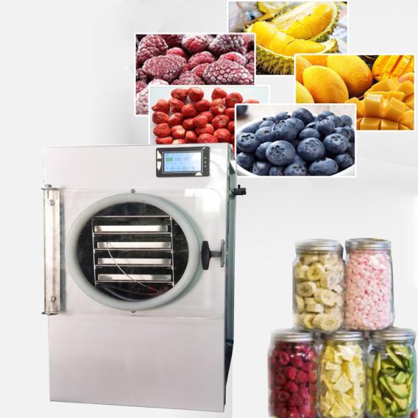 Quality Programmable Food Vacuum Freeze Dryer Electric Heating Low Noise wholesale