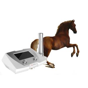 Tendon Injury Equine Shockwave Machine / Equine Shockwave Therapy Device