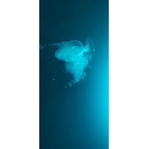 HAA 95/5 Primid Powder Coating Polyester Resin No Bloming Curing Low Temp