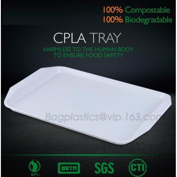 plastic tray, food tray, food container, Fast Food Tray biodegradable plastic 5