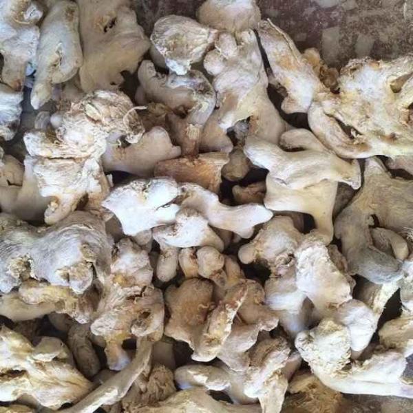 Quality Whole Dried Ginger Root New Crop Grade A Carton Packing No Additives wholesale