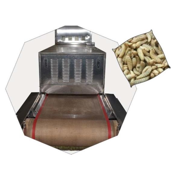 Insect Sliver White Conveyor Belt Microwave Drying And Sterilization Machine