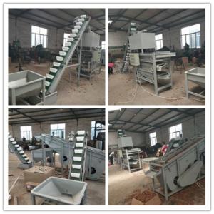 Cheap walnut cracker, walnut sheller, walnut processing machines for sale