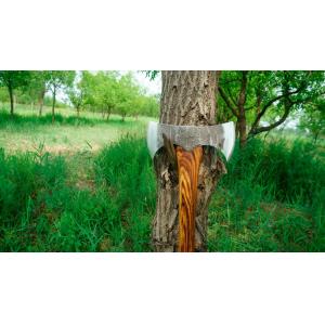 Hand Cutting Tools Forged Steel Double Axe With Hickory Handle