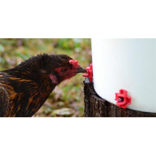 360 Degree Horizontal Poultry Nipples