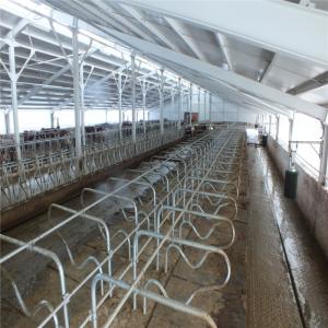 Easy Install Modern Cattle Shed , Prefabricated Metal Farm Barns