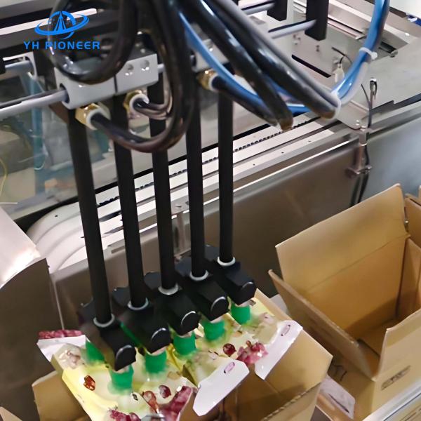 Robust Stainless Steel Pasta Carton Packer Machine For Corrugated Boxes With 5kg Payload Capacity