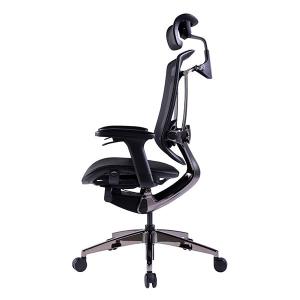 Black Back Support Computer Desk Chair Multifunctional Adjustable Ergonomic