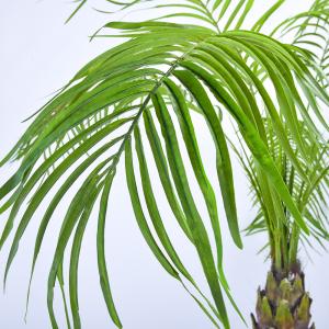 190cm Artificial Plants Phoenix Palm Tree Evergreen Indoor Palm Tree Rainstorm