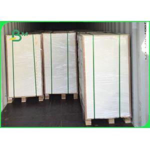 FDA Food Grade Paper Roll 160gsm - 350gsm 70 * 100cm White PLA Paper Sheet For