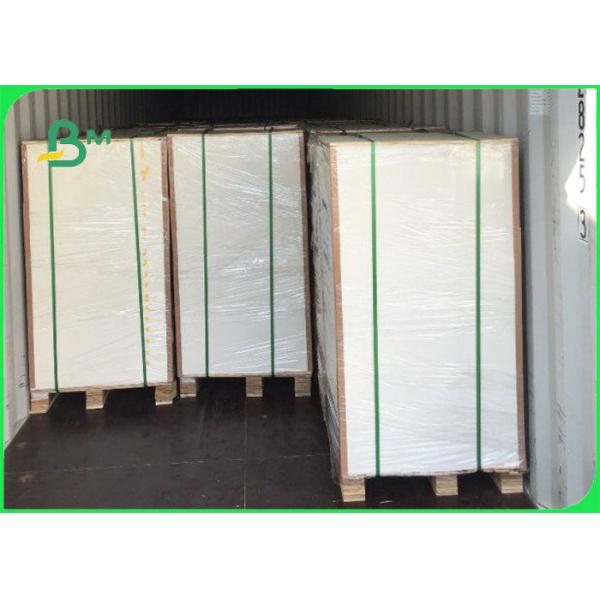 FDA Food Grade Paper Roll 160gsm - 350gsm 70 * 100cm White PLA Paper Sheet For