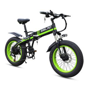 Fat Tyre 20 Inch E Bikes 10MPS WIth Hidden Battery ODM Available